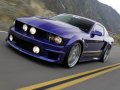 2005%20Shelby%20WCC%20Mustang%20(1).jpg