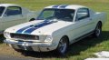 1966-Shelby-Mustang-GT-350-fa-lr.jpg