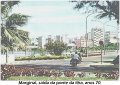 luli114_Marginal_sa_da_da_ponte_da_ilha.jpg