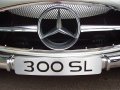 Mercedes_Benz_300SL_Gullwing_by_perplexicon.jpg