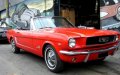 Ford_Mustang (1).jpg