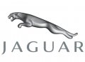 Jaguarlogocinza.jpg