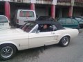 Mustang3.jpg