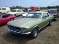 Mustang 1.jpg