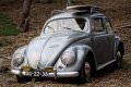 Volkswagen_RAT_LOOK_by_Aerorato[1].jpg