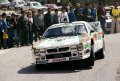 Lancia 037 Rally EVo 2 - 1985 RACE - Dario Cerrato.jpg