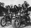 Jimmy Page, John Bonham and Robert Plant - 1972.jpg
