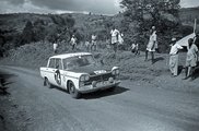 Safari Rally 1962 -.jpg