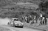 Safari Rally 1962 -.jpg
