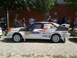 Desfile WRC 50 (11).jpg