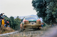 Rallye Sanremo 1988 - Dario Cerrato.png