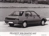 Peugeot 309 Graffic Kat.jpg