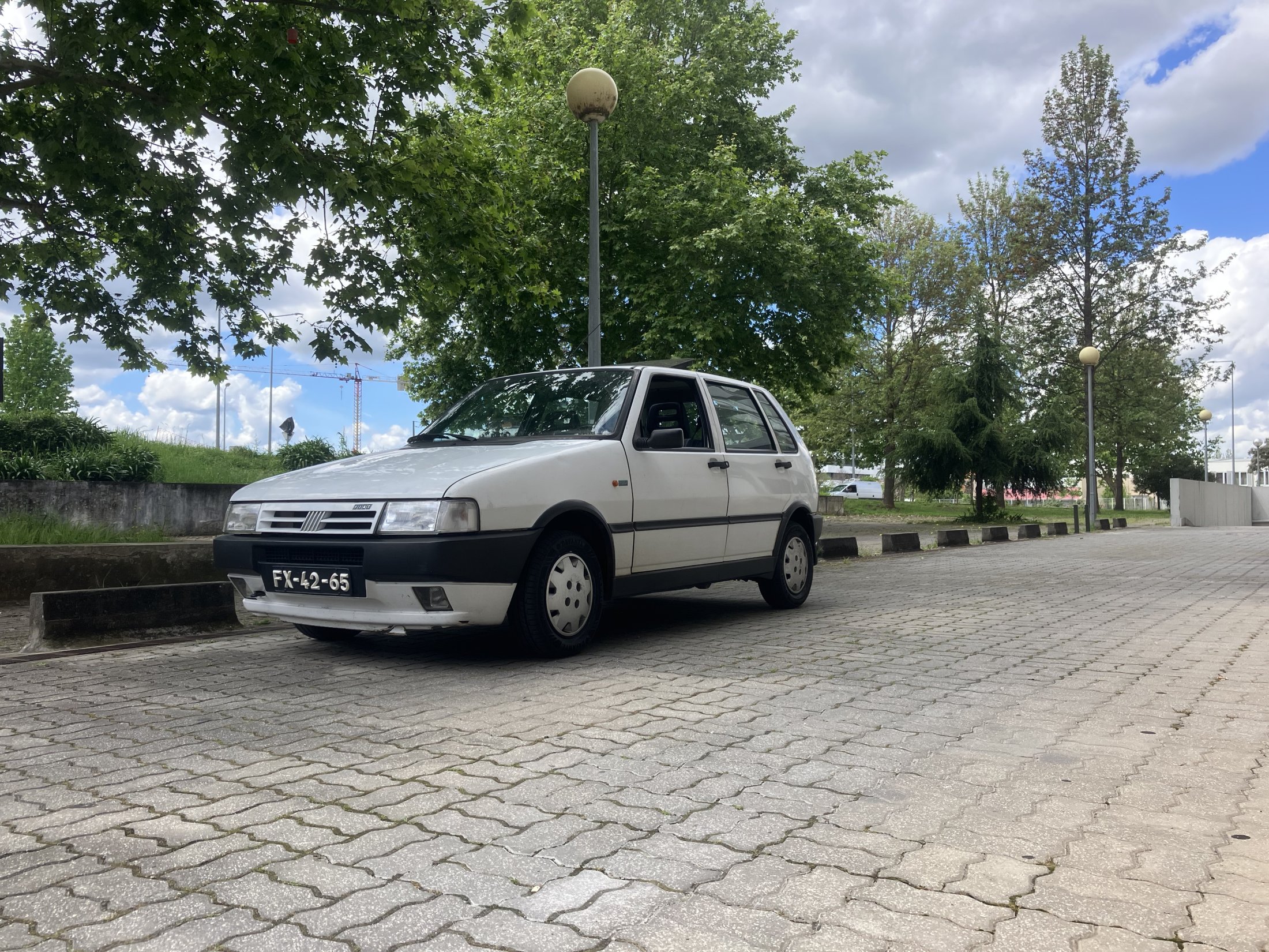 IMG_4950.jpeg