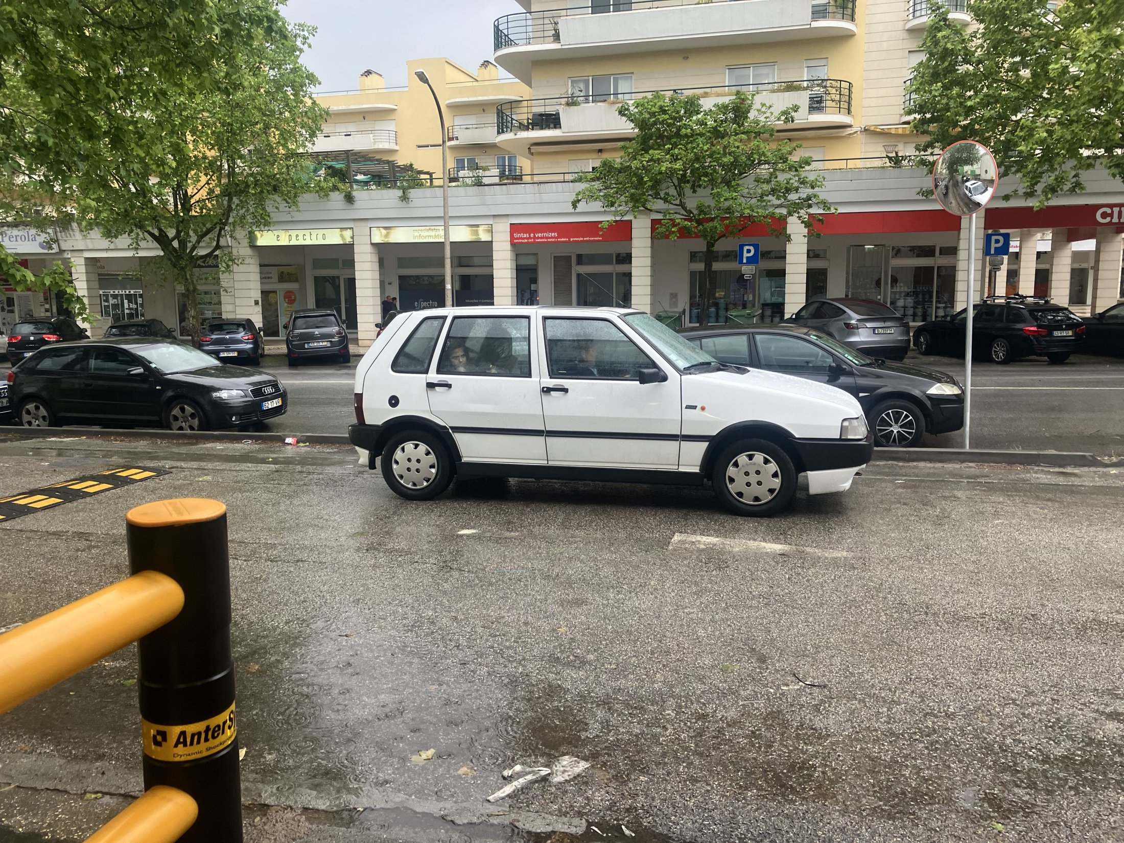 IMG_4974.jpeg