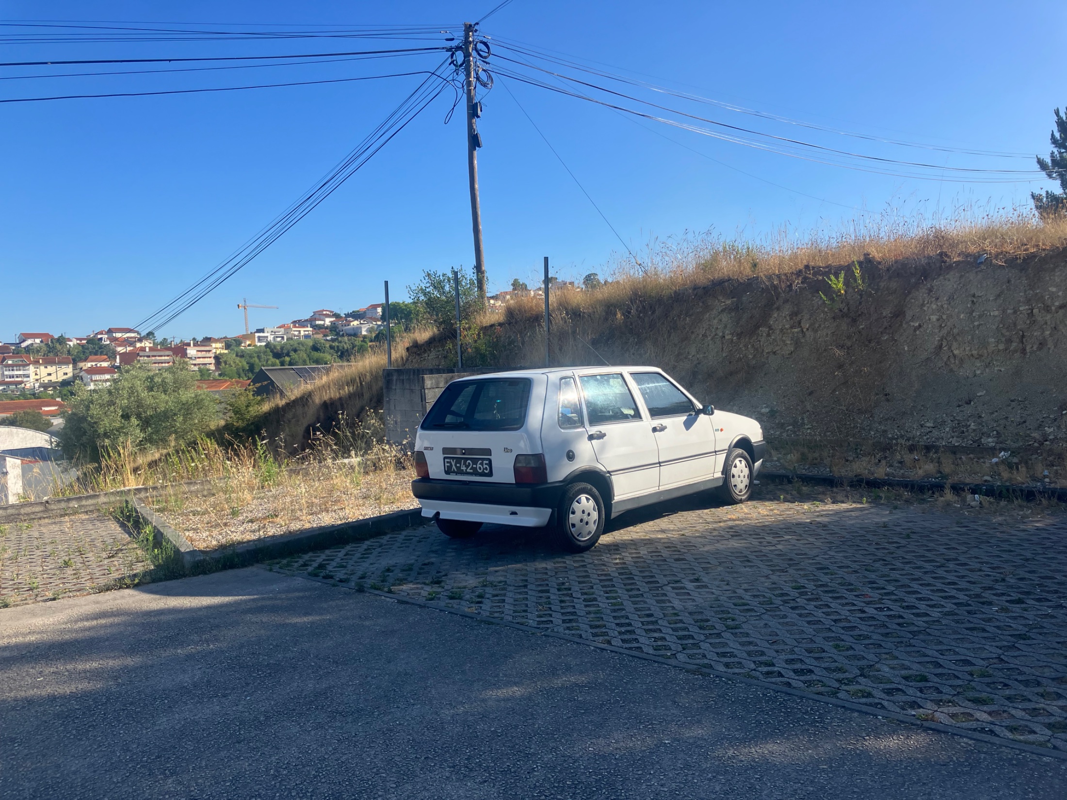 IMG_5506.jpeg