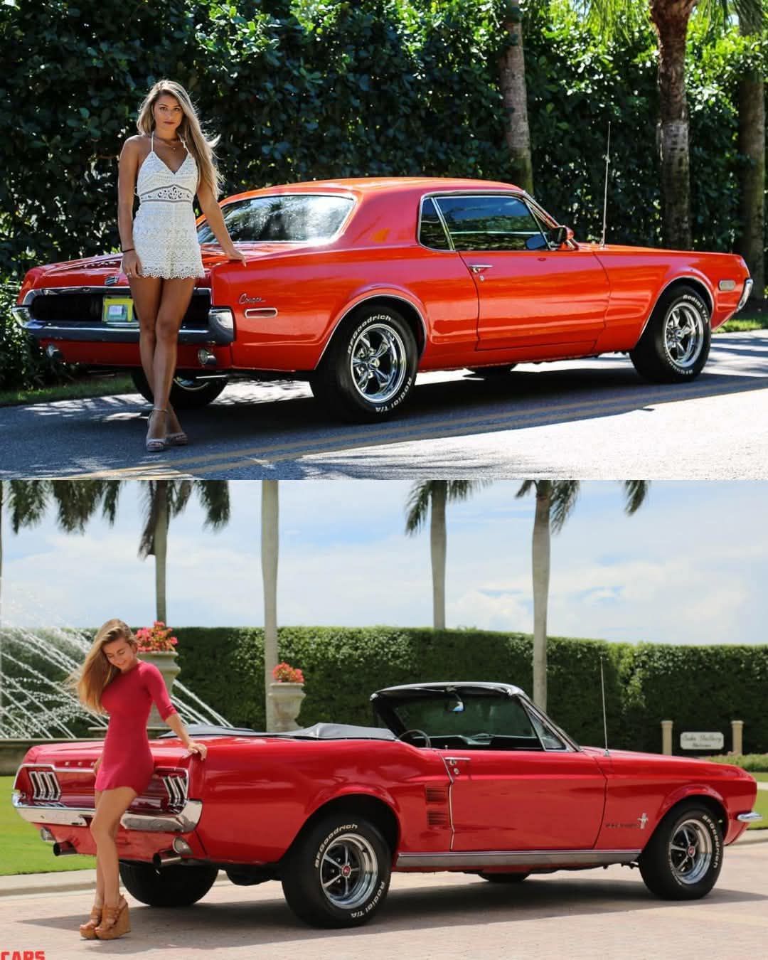 Three Cougars & One Mustang.jpg