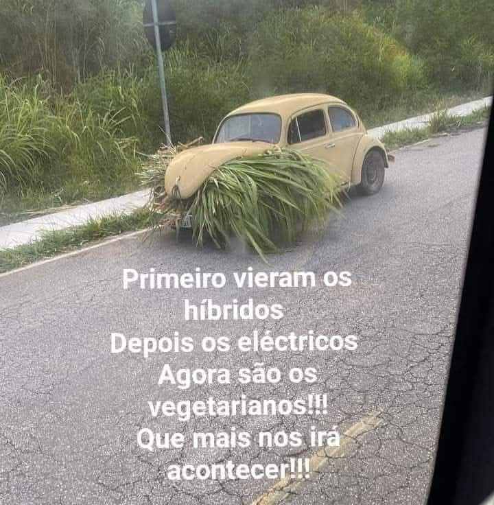 VW_TYP1_VEGAN_2512.jpg