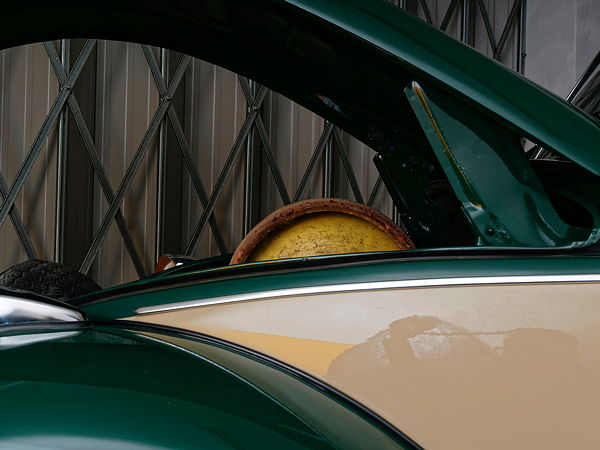 _OM59866_f_1200_0600.jpg