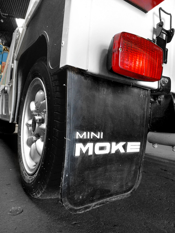 MOKE_EA2506_Bd8.jpg