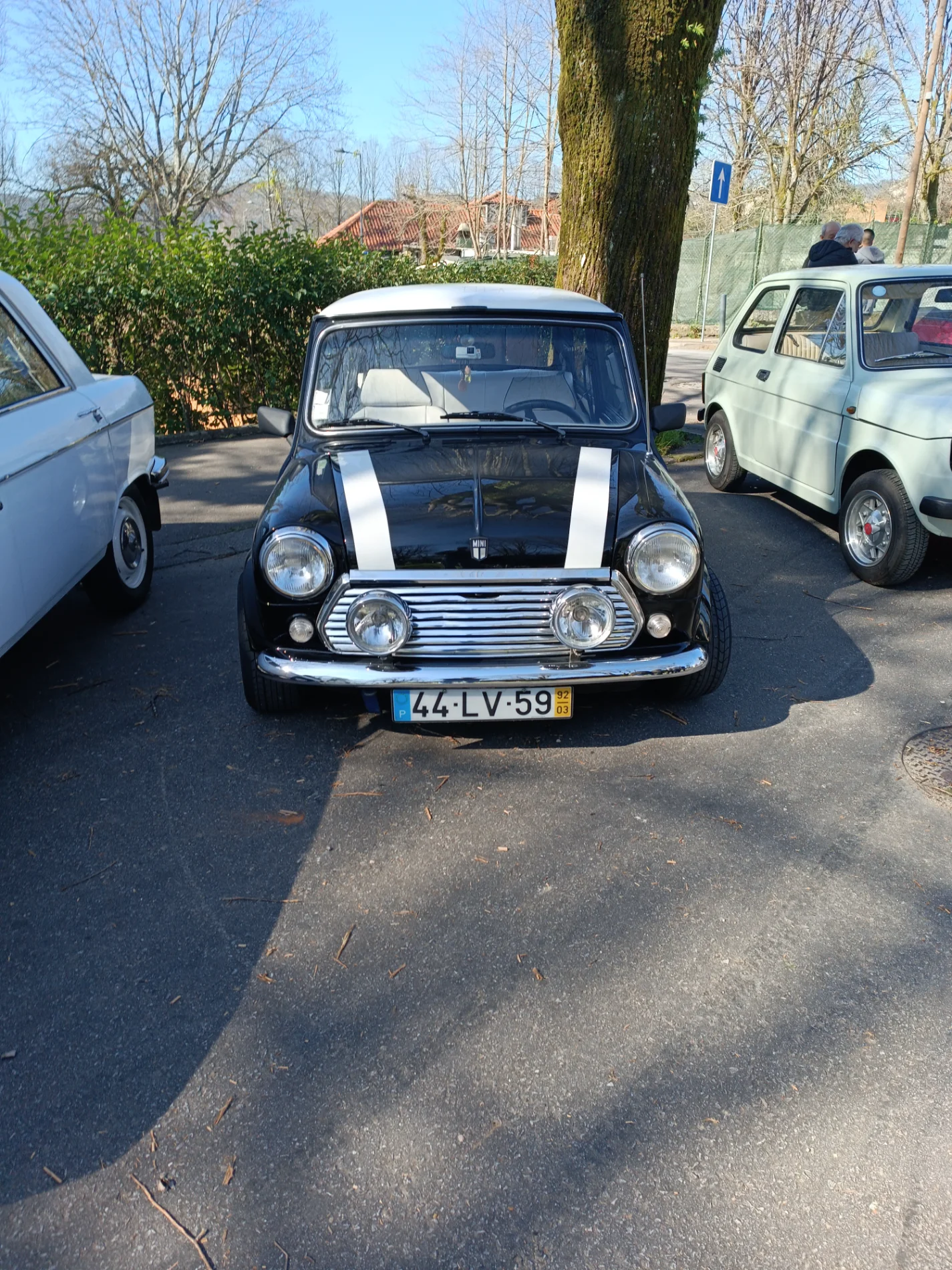 IMG_20260222_112035.webp