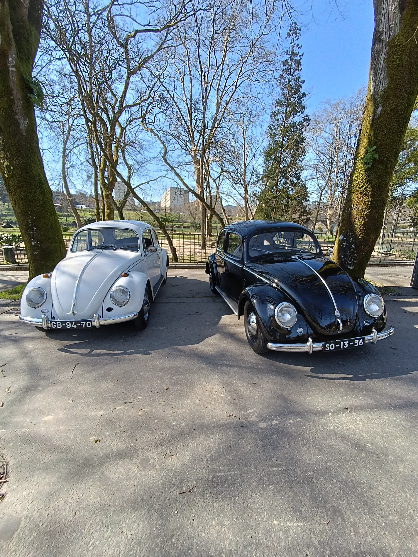 IMG_20260222_111644.webp