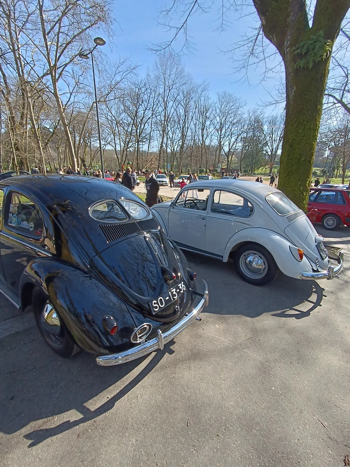 IMG_20260222_111625.webp