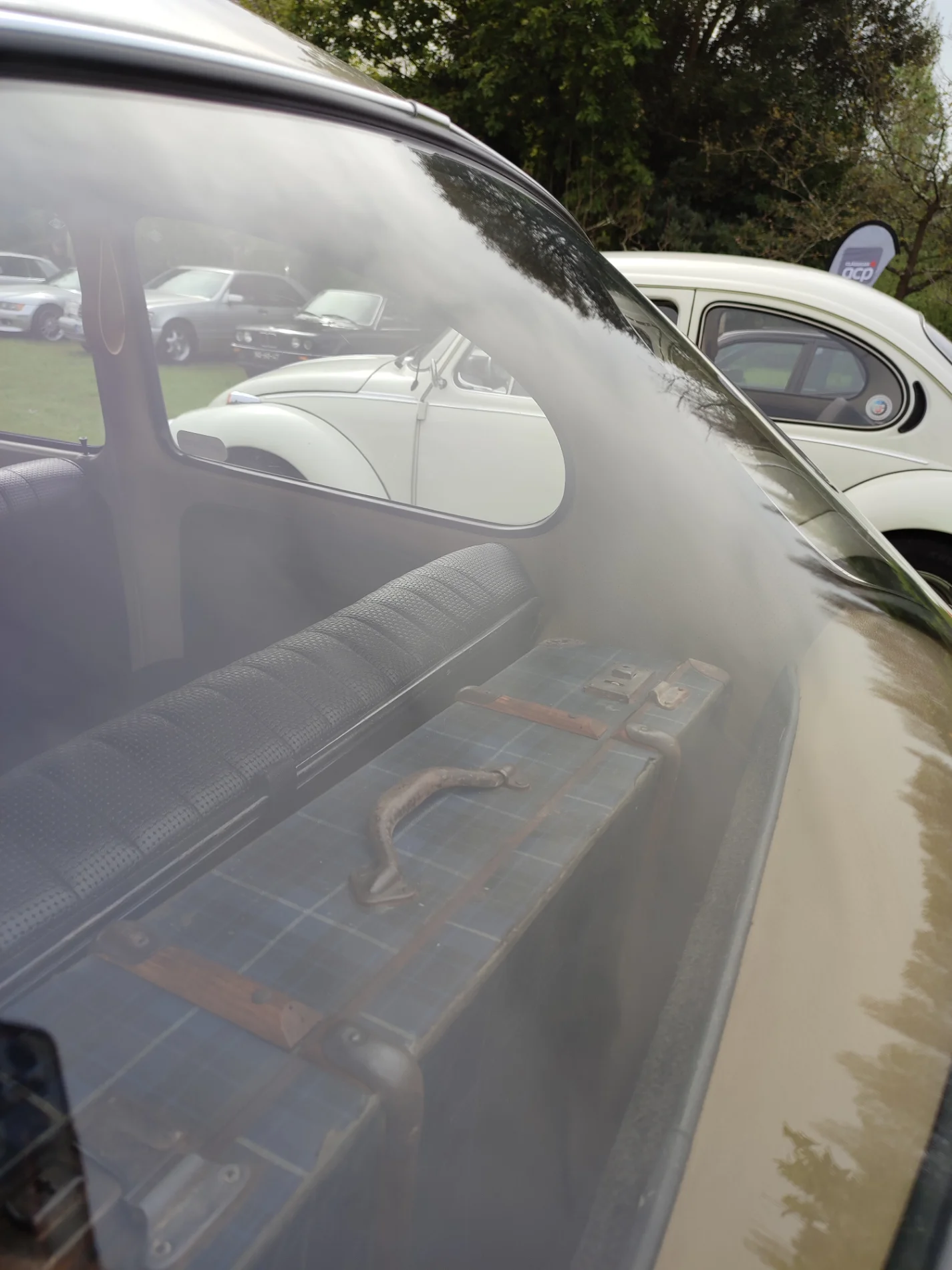 IMG_20220326_100454.webp