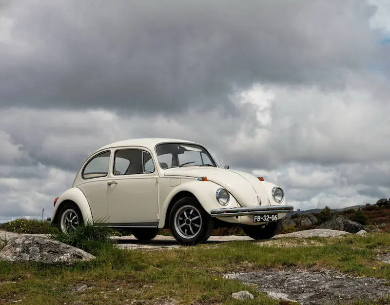 VW_Branco.webp