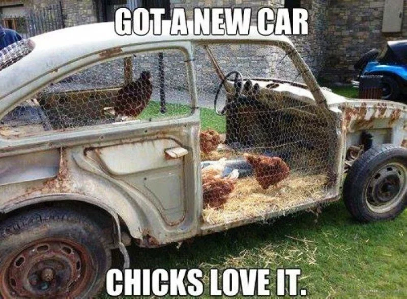 carmeme9.webp