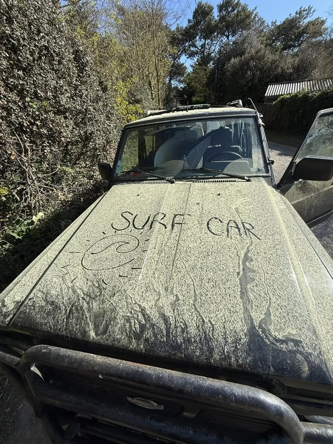 SW_DUST_2604A.webp