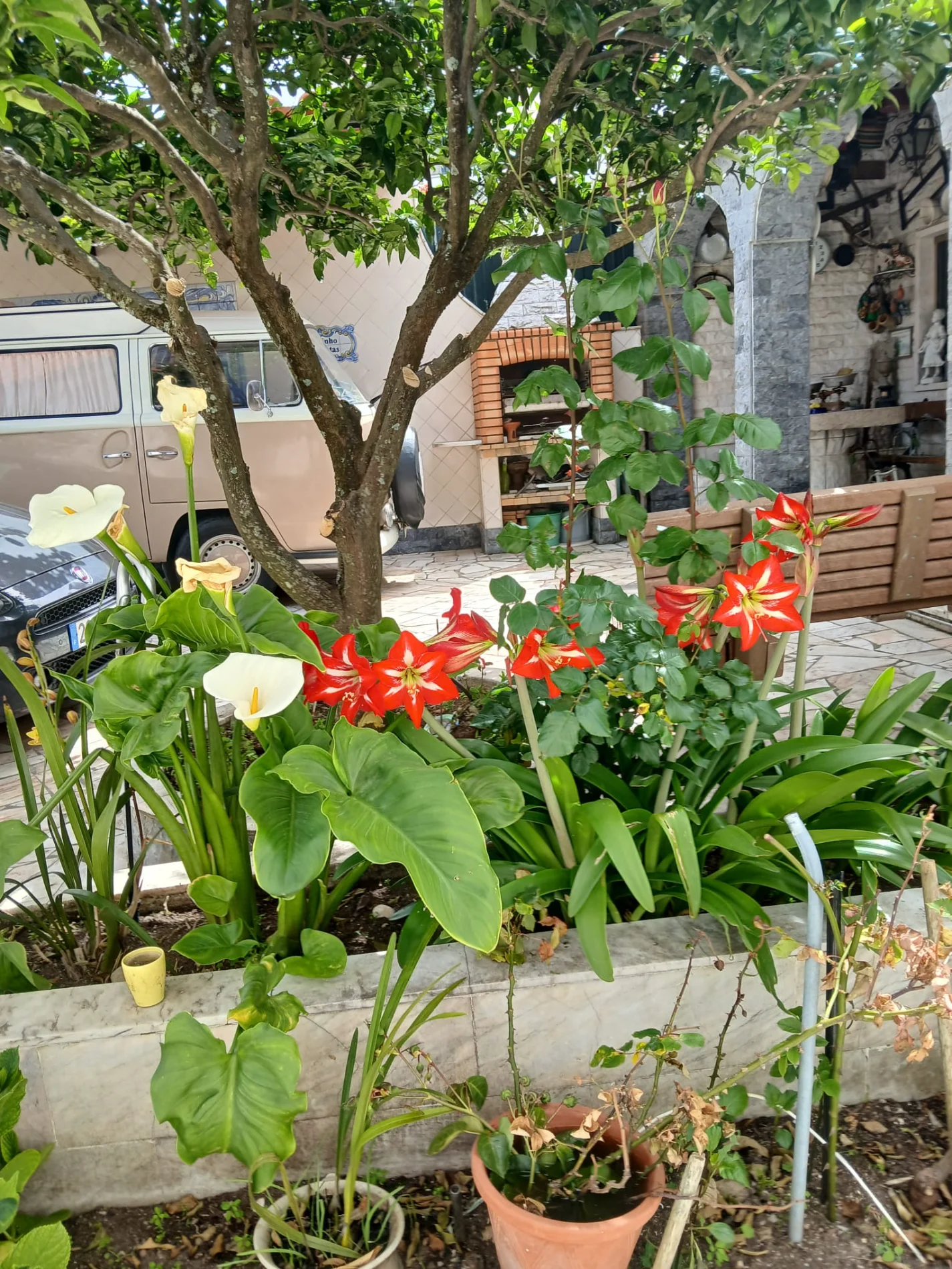IMG-20260422-WA0037.webp