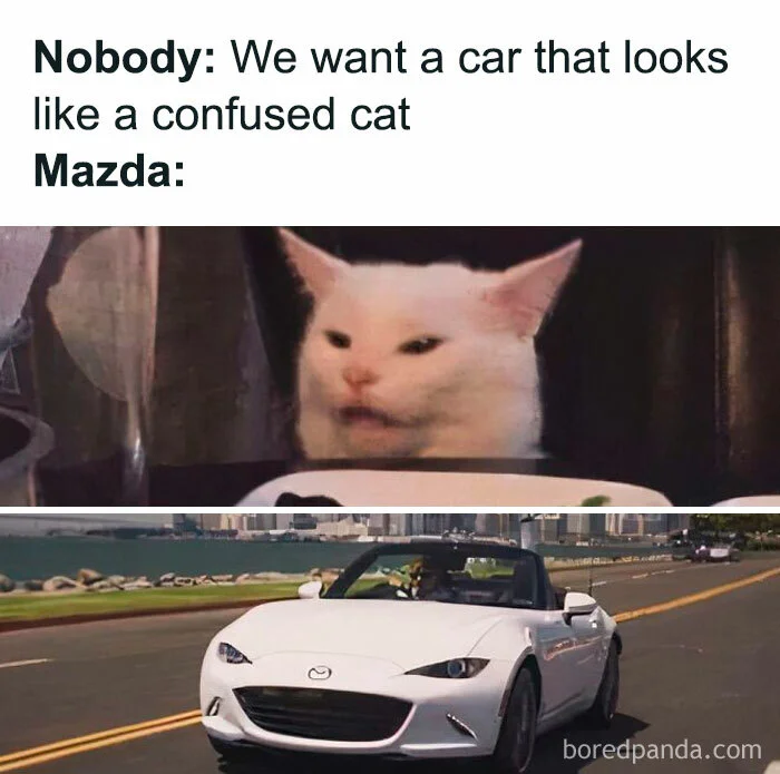 funny-cars-memes-pics-56-66debaae2f1d5__700.webp