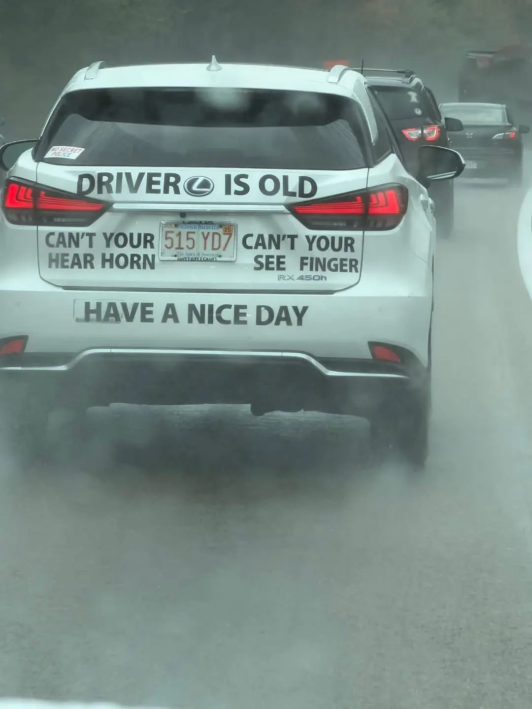OLD_DRIVER_.webp