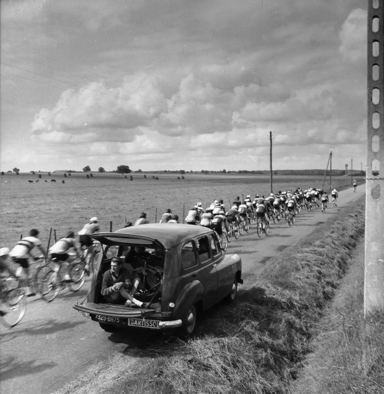 Renault Colorale Prairie.webp