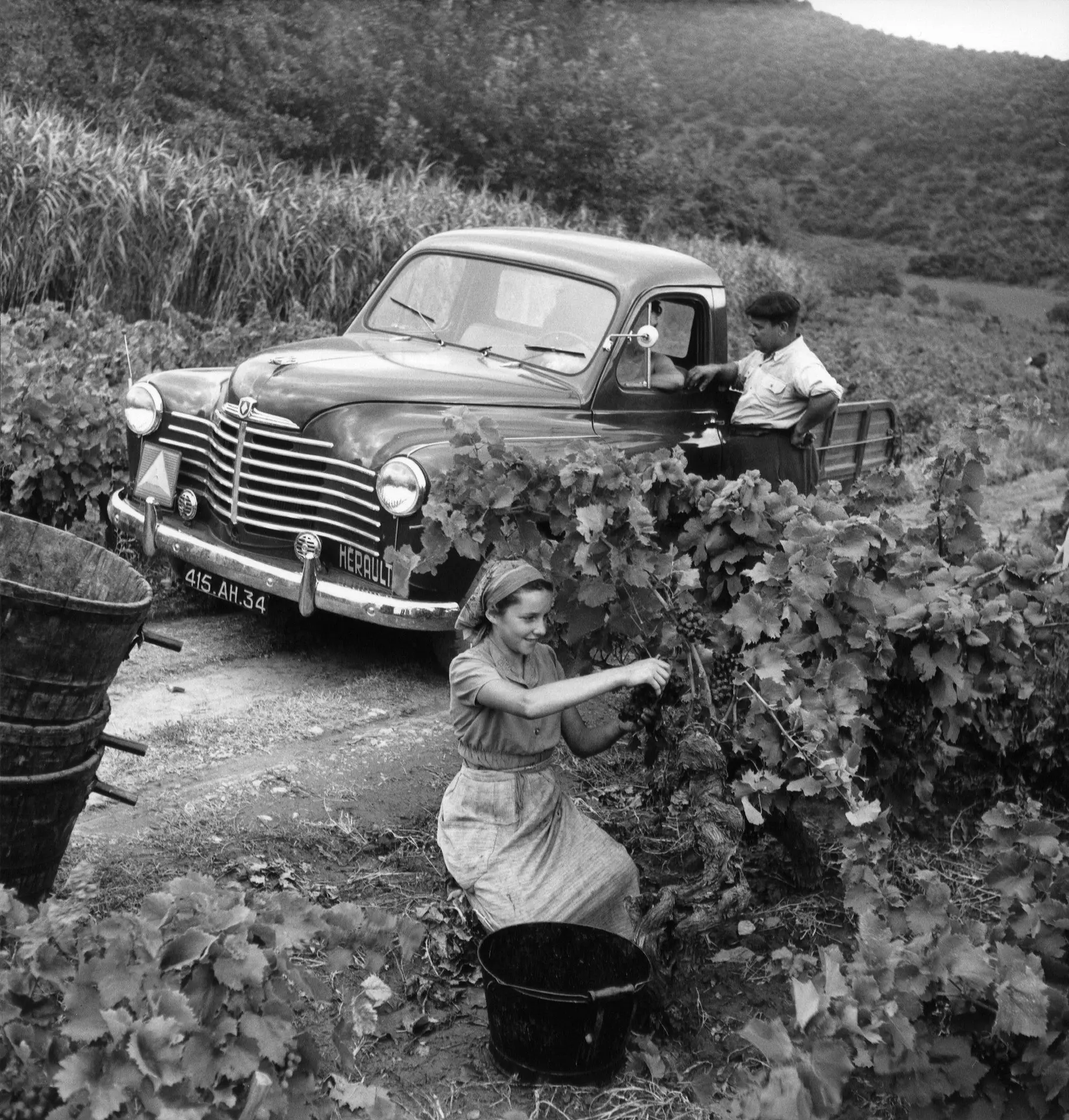 Renault Colorale Pickup.webp