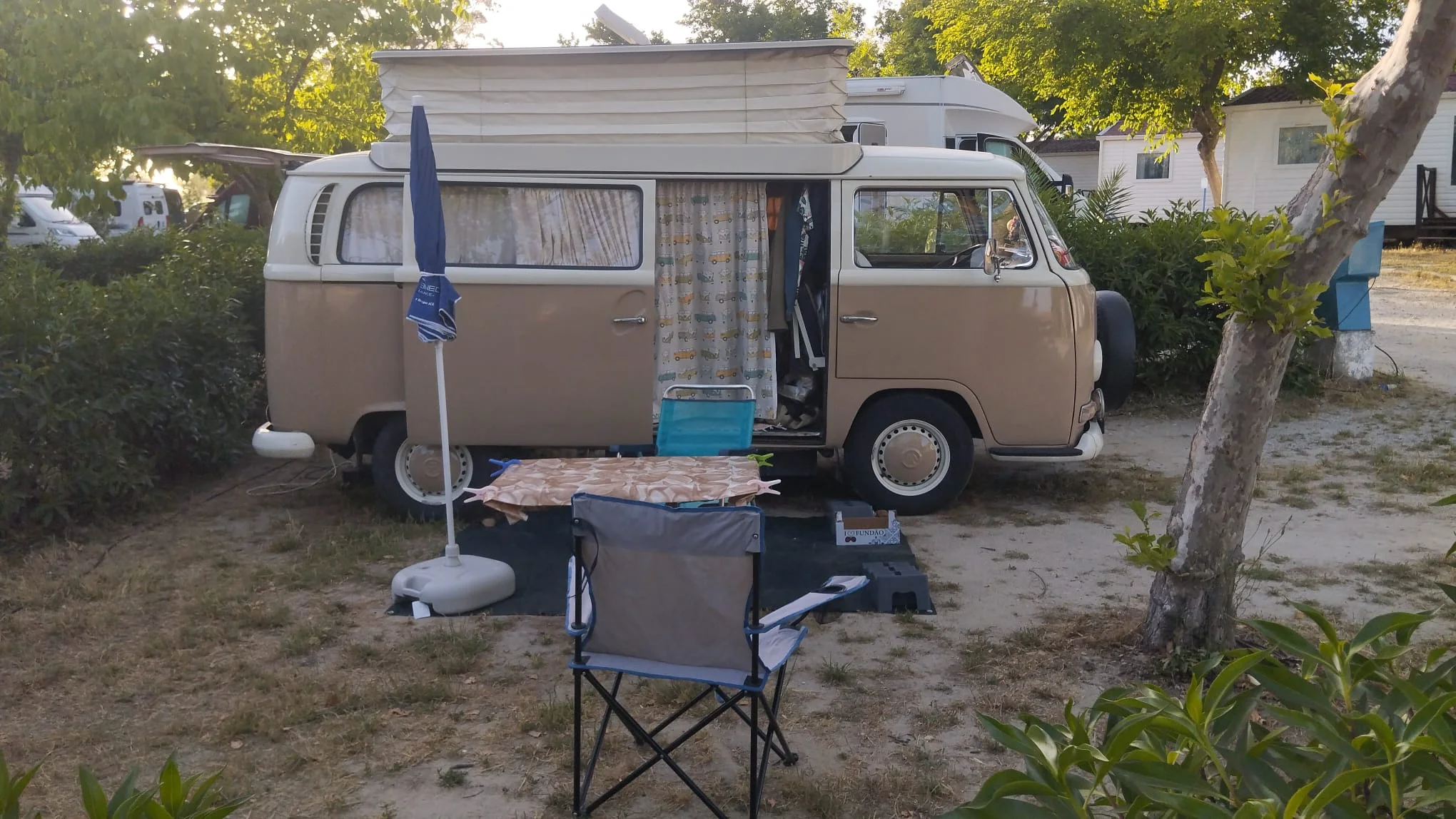 IMG-20260603-WA0052.webp