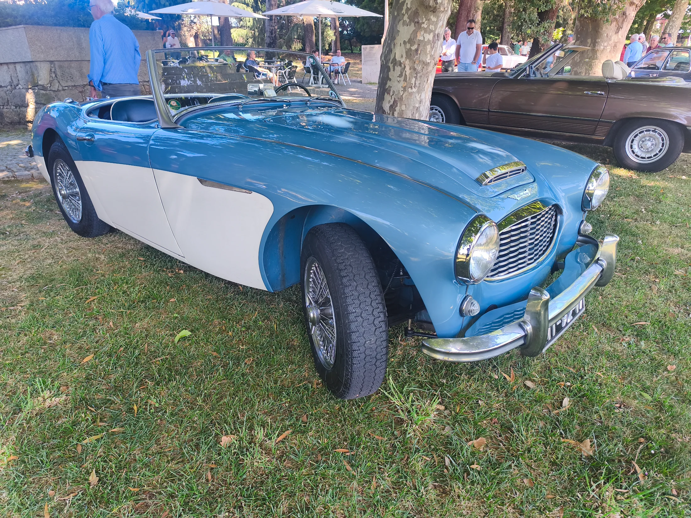 IMG_20260607_105301.webp