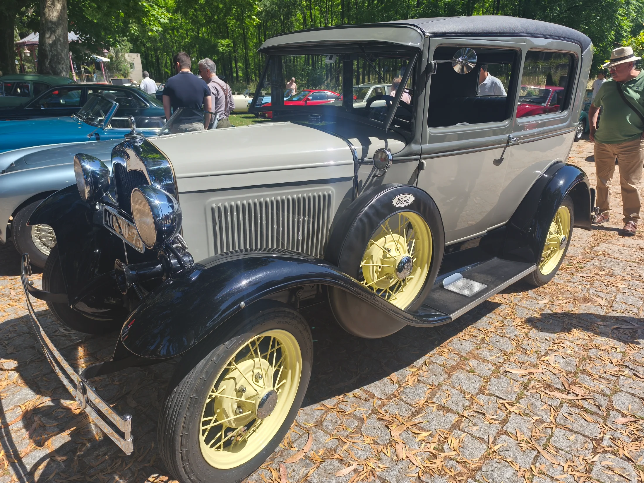 IMG_20260607_111302.webp