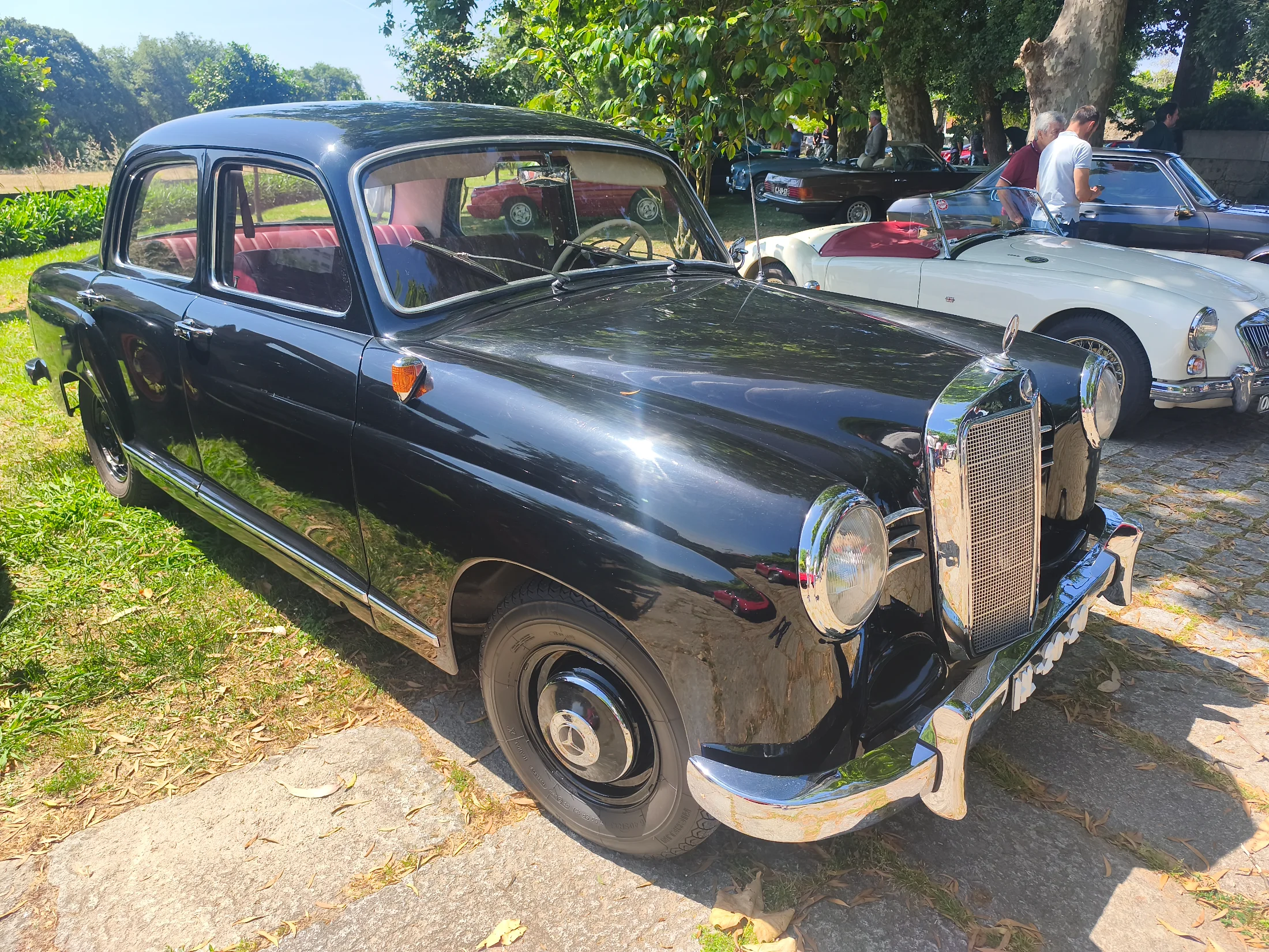 IMG_20260607_111452.webp