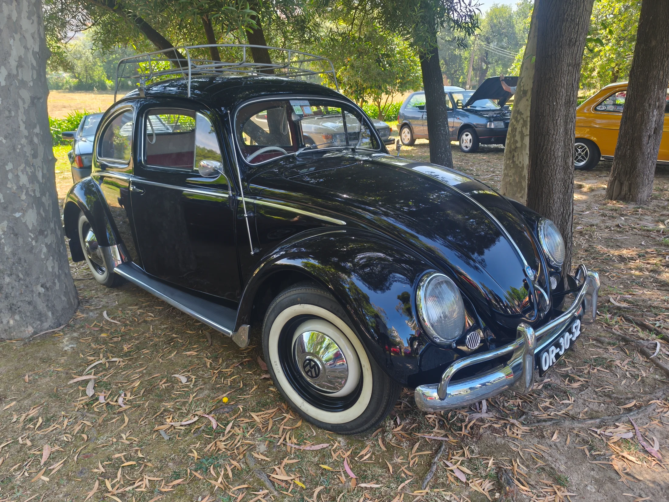 IMG_20260607_111611.webp