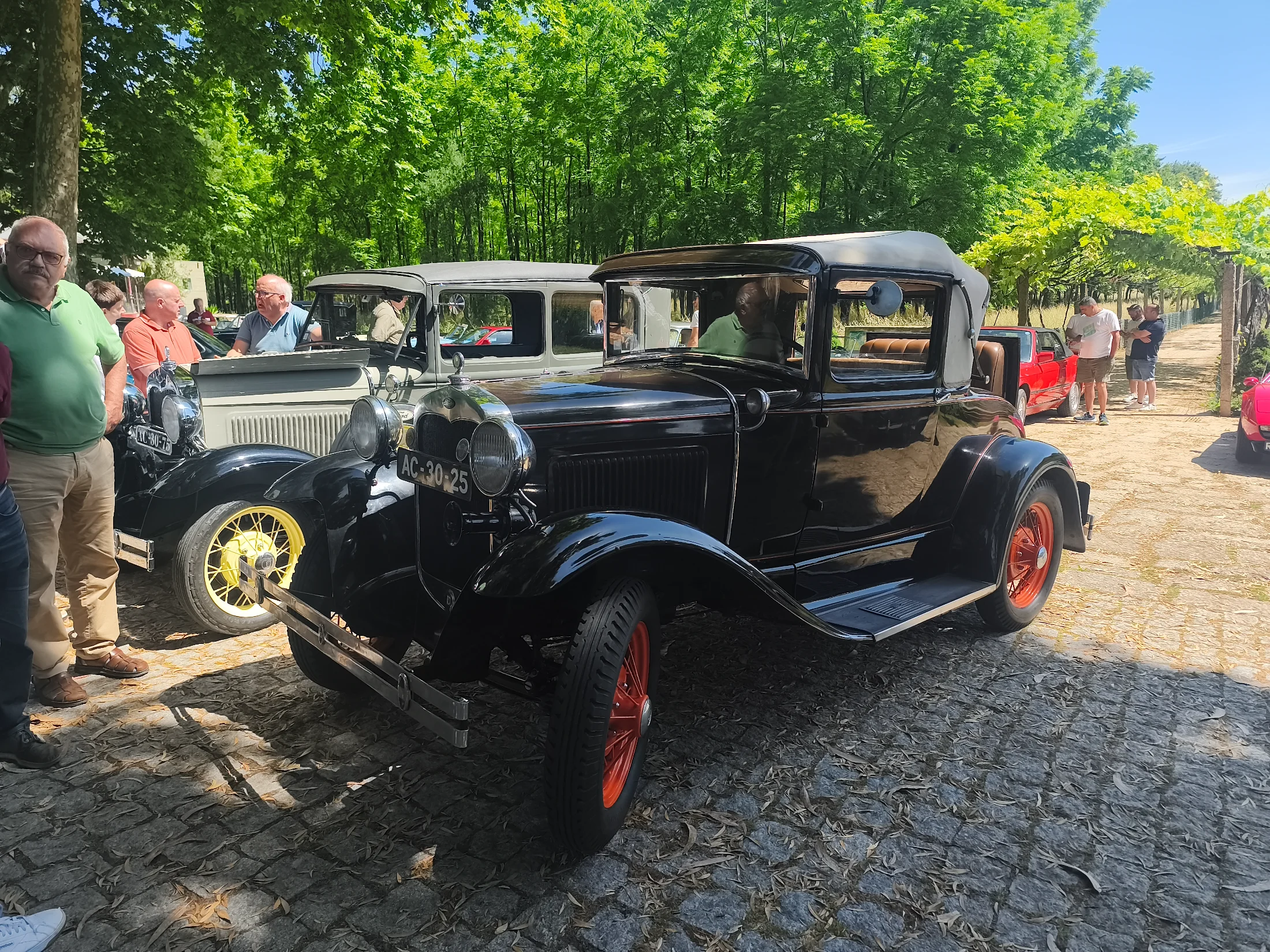 IMG_20260607_112513.webp