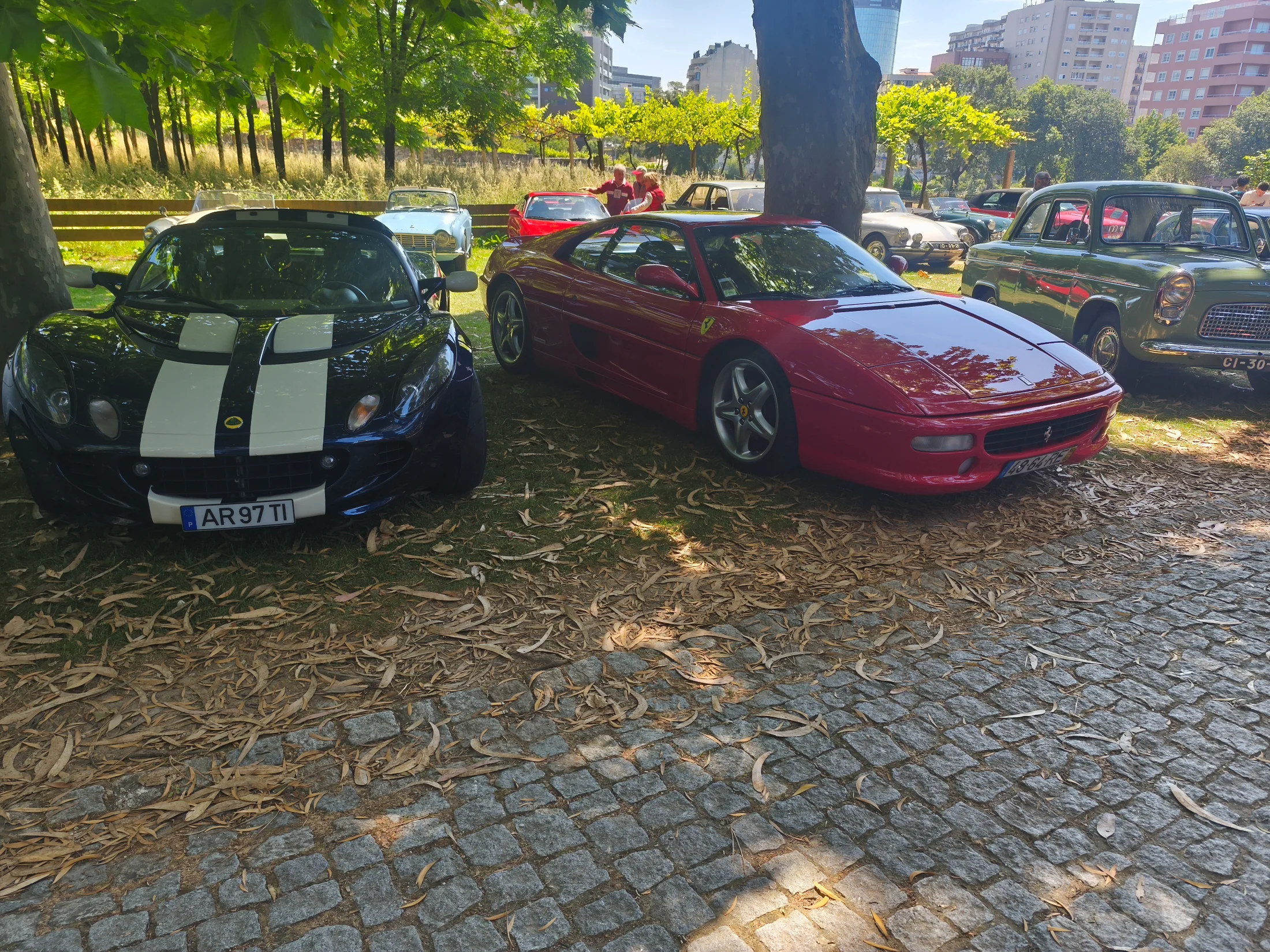 IMG_20260607_112829.webp
