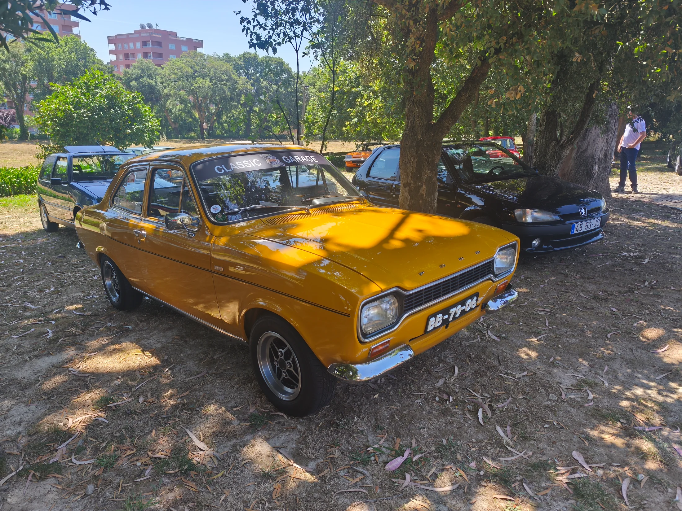 IMG_20260607_114546.webp