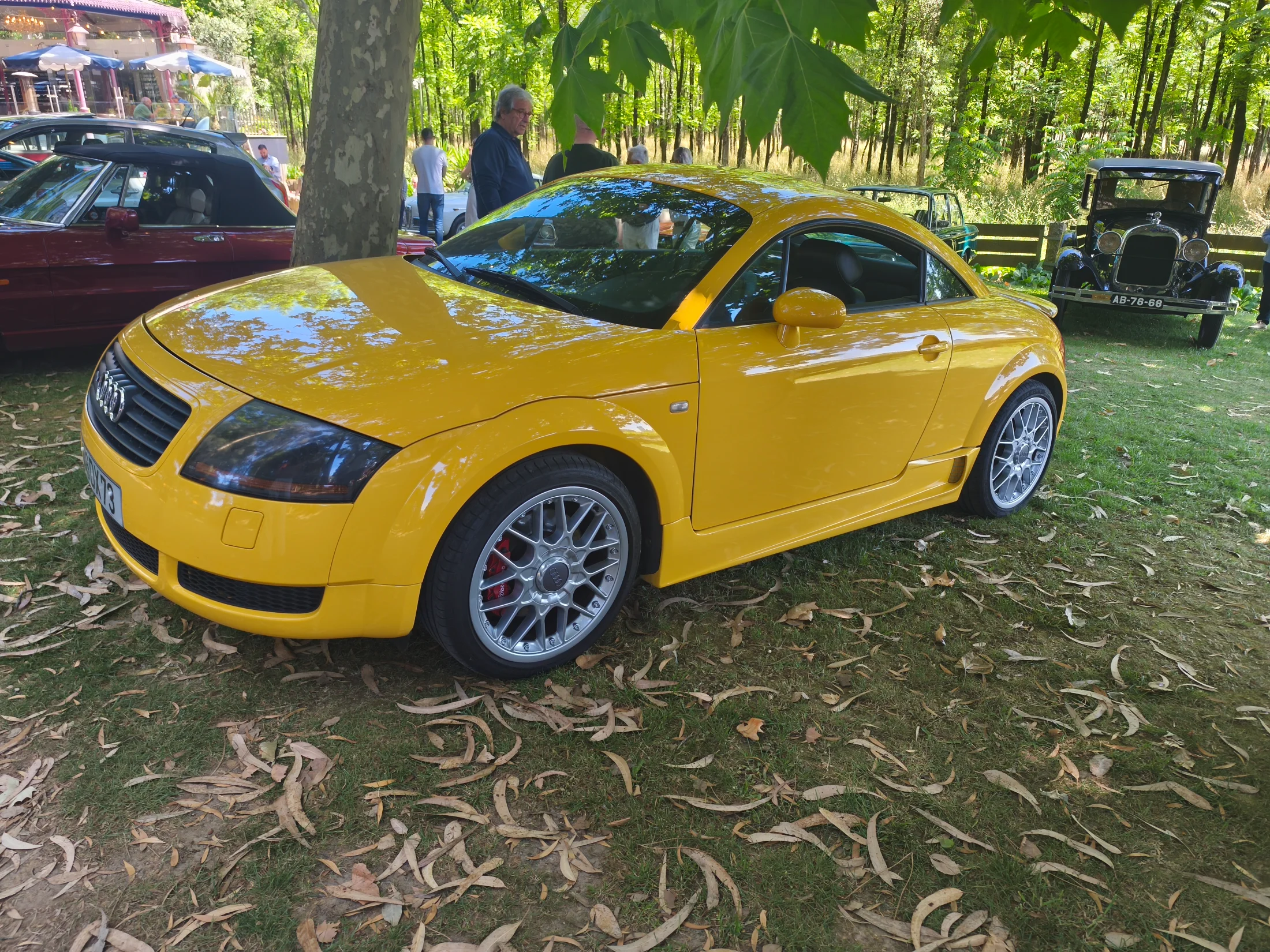 IMG_20260607_120211.webp
