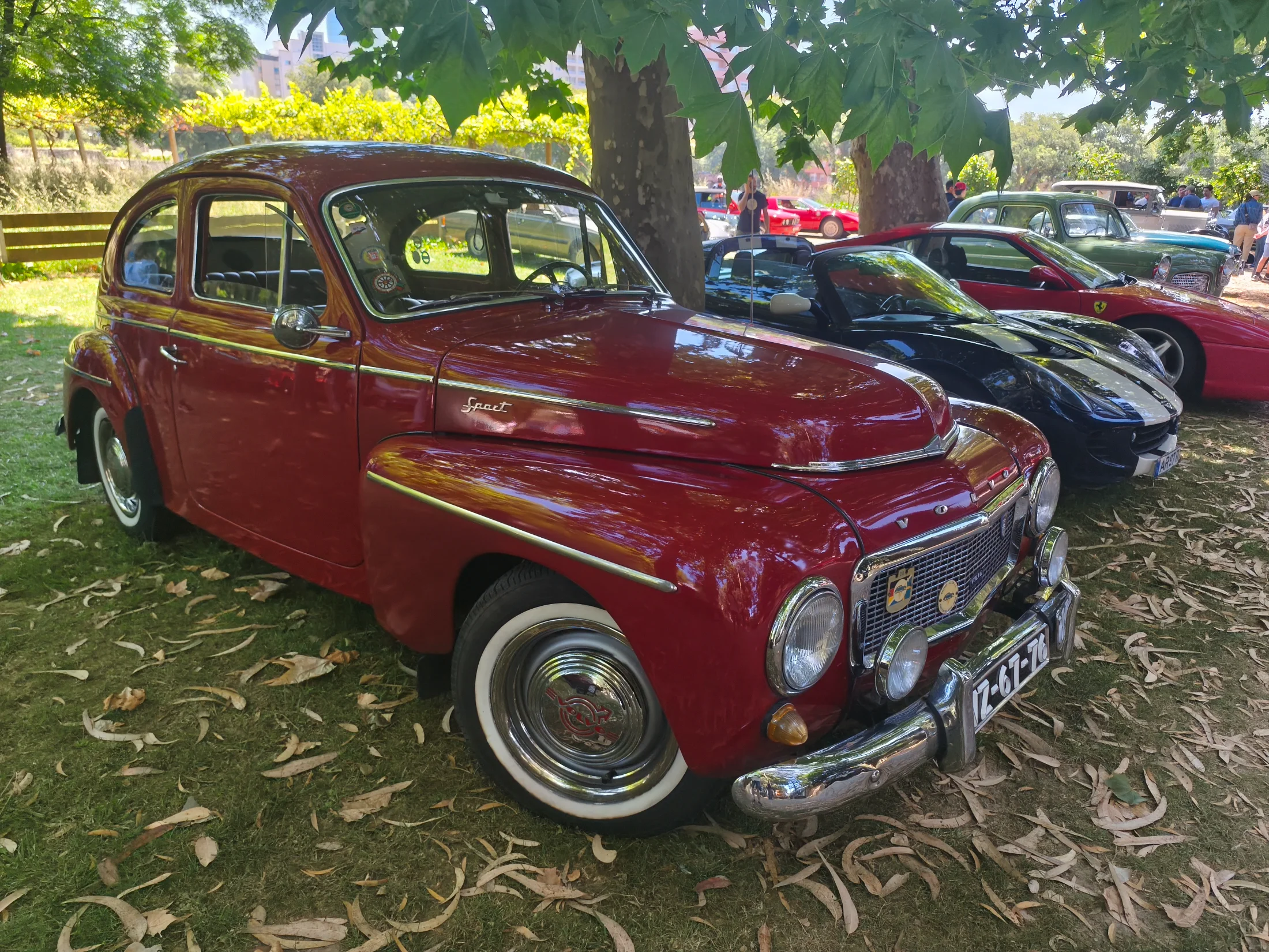 IMG_20260607_120701.webp