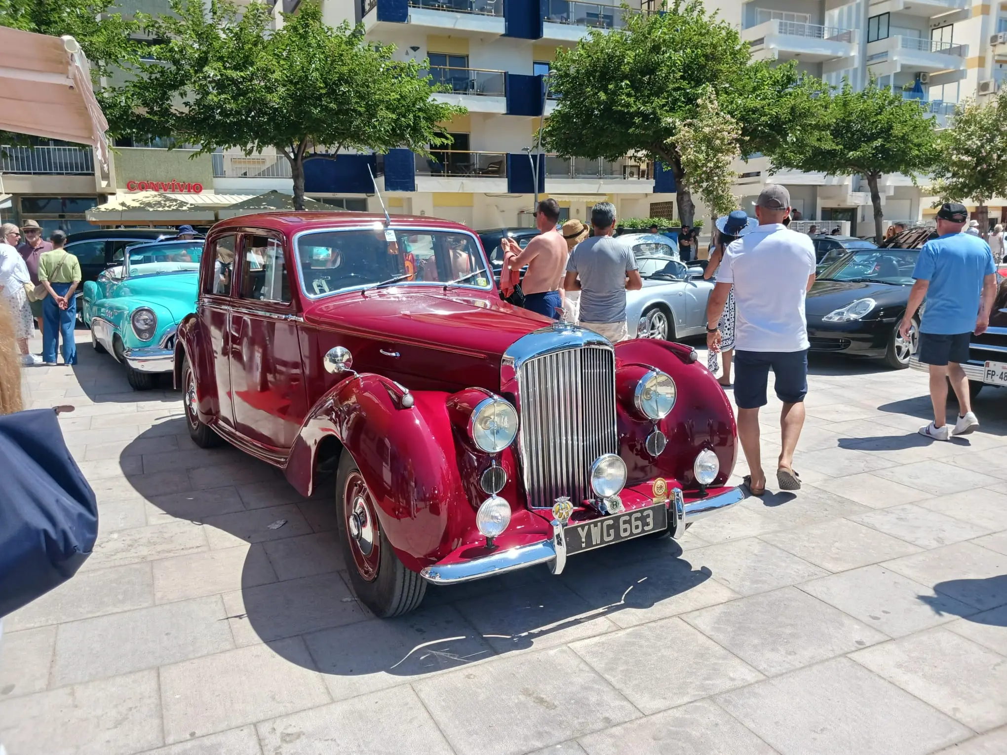 1781051293927.webp