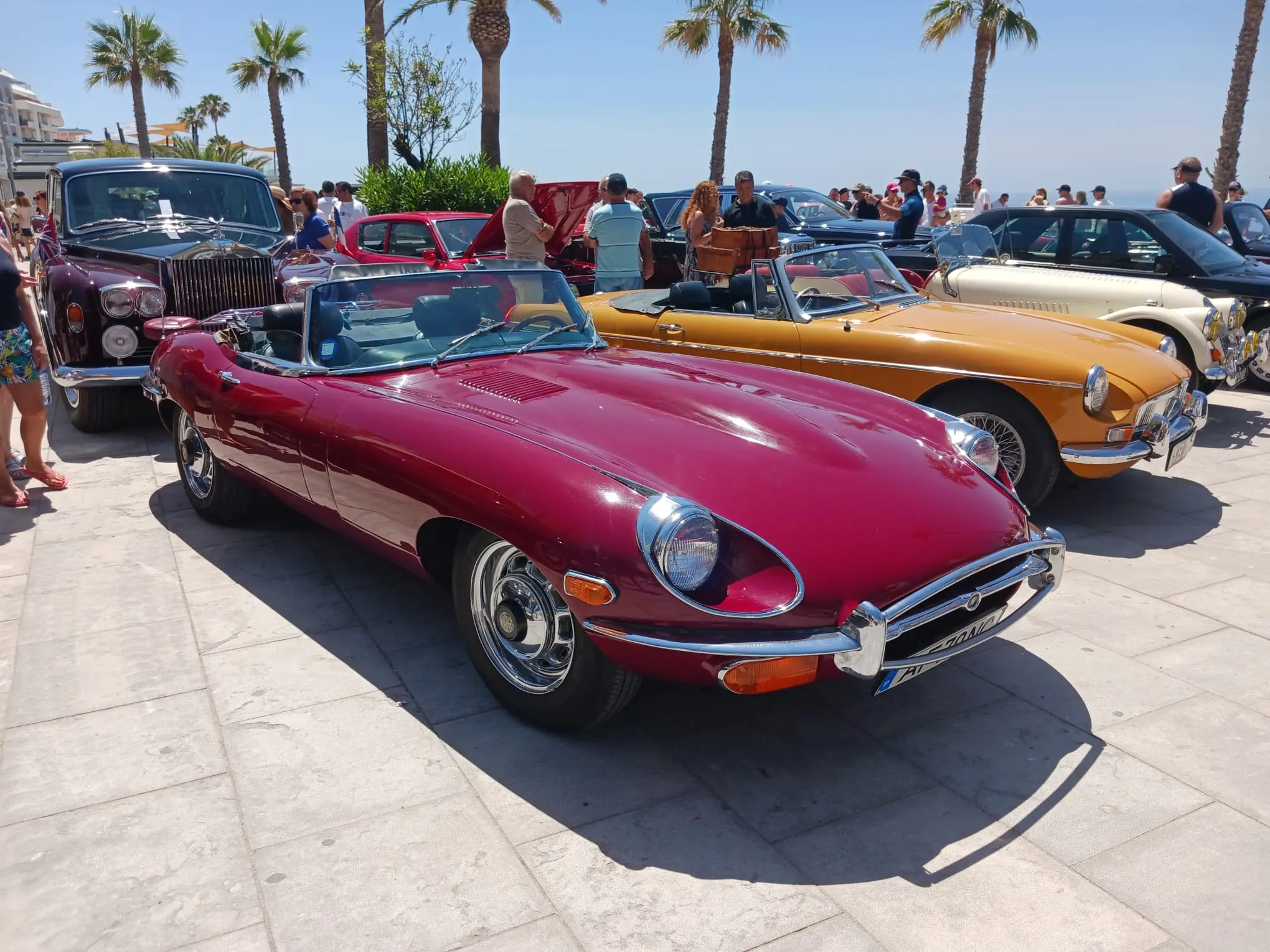 1781051434744.webp