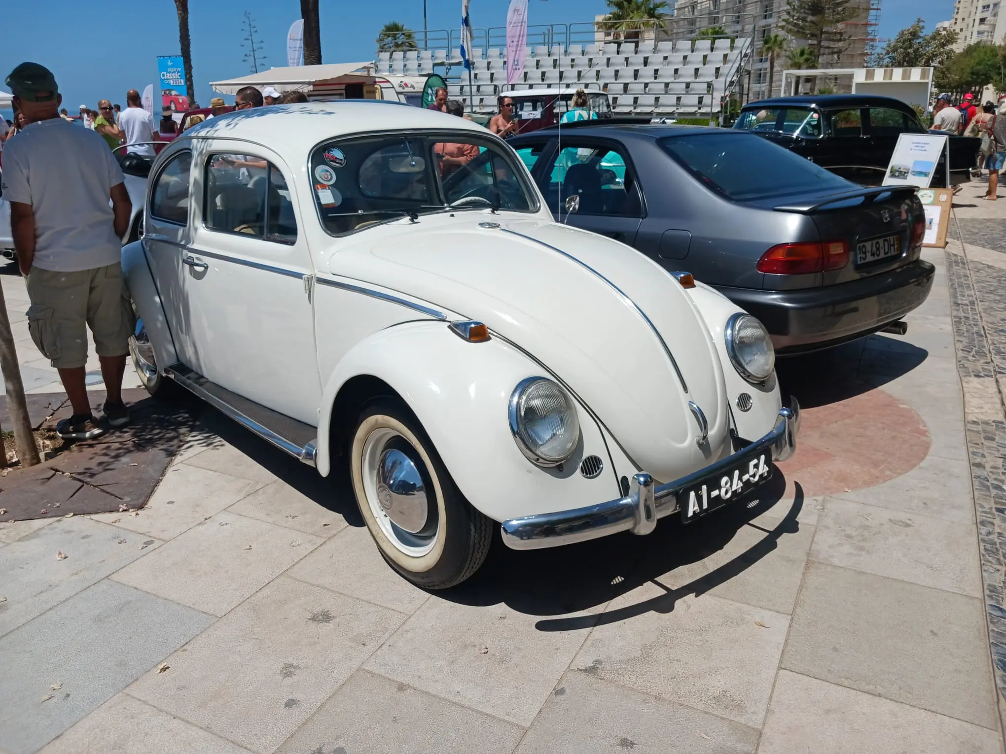 1781051739107.webp