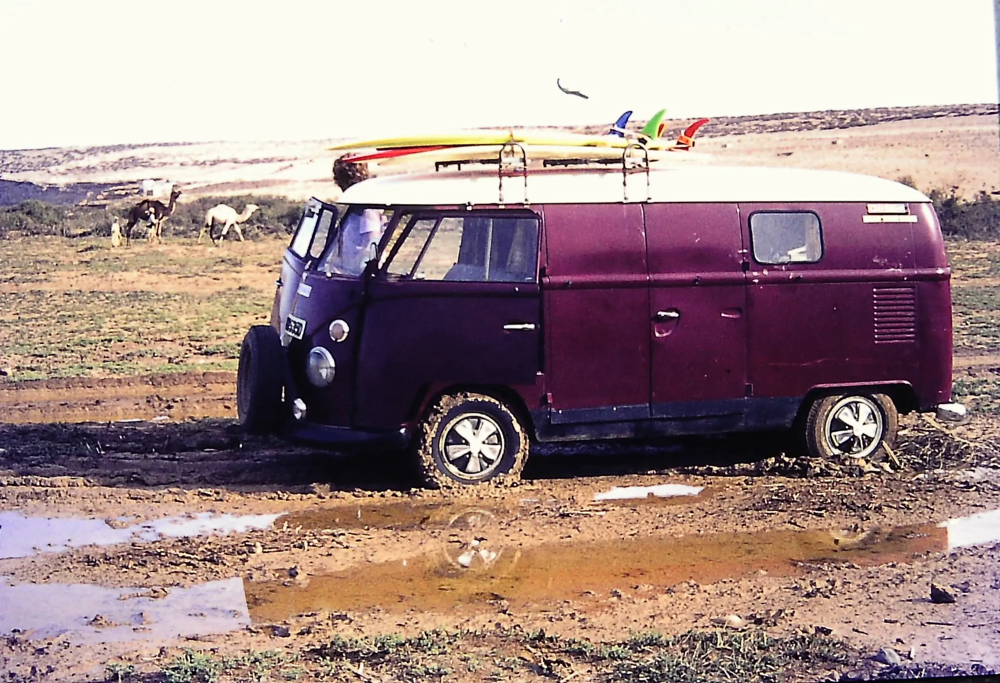 SW_VW_TYP2_2607-A9.webp
