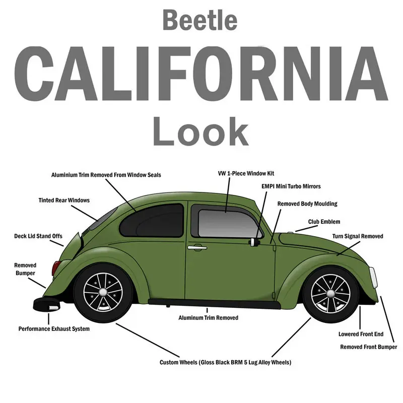 California-Style-Beetle-800px.webp